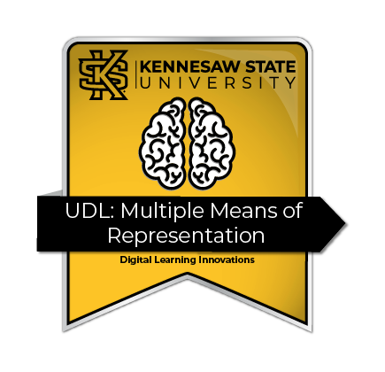 A ribbon of UDL: Multiple Means of Representation
