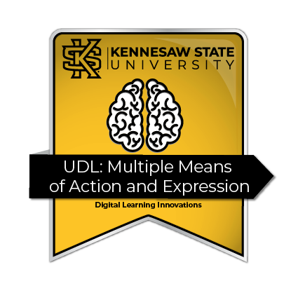 A ribbon of UDL: Multiple Means of Action and Expression